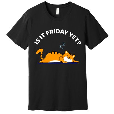 Cat Lover Funny Sleepy Cat Is It Friday Yet Cat Nap Premium T-Shirt