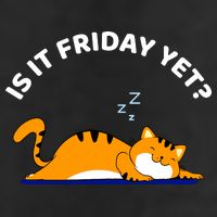Cat Lover Funny Sleepy Cat Is It Friday Yet Cat Nap Trucker Hat