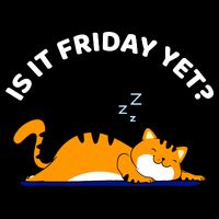 Cat Lover Funny Sleepy Cat Is It Friday Yet Cat Nap Wool Snapback Cap