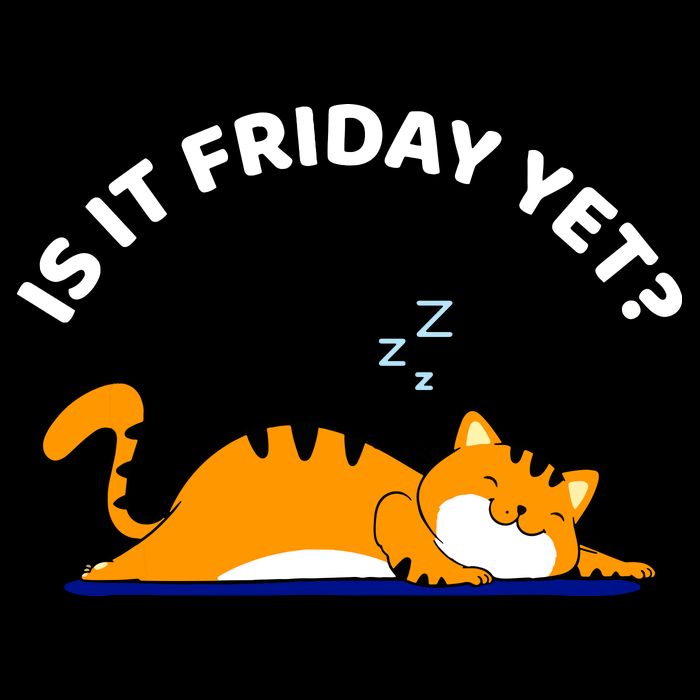 Cat Lover Funny Sleepy Cat Is It Friday Yet Cat Nap Wool Snapback Cap