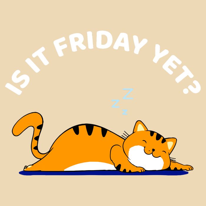 Cat Lover Funny Sleepy Cat Is It Friday Yet Cat Nap Apron