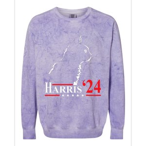 Cat Ladies For Kamala Funny Cat 2024 President Kamala Harris Colorblast Crewneck Sweatshirt