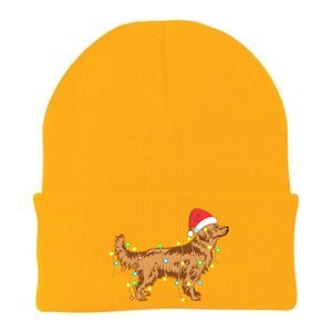 Christmas Lights Golden Retriever Dog Lover Funny Gift Knit Cap Winter Beanie