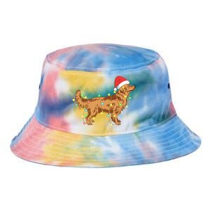 Christmas Lights Golden Retriever Dog Lover Funny Gift Tie Dye Newport Bucket Hat