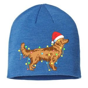 Christmas Lights Golden Retriever Dog Lover Funny Gift Sustainable Beanie