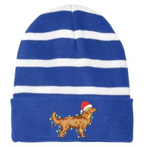 Christmas Lights Golden Retriever Dog Lover Funny Gift Striped Beanie with Solid Band