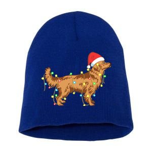 Christmas Lights Golden Retriever Dog Lover Funny Gift Short Acrylic Beanie