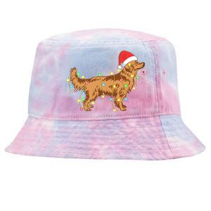 Christmas Lights Golden Retriever Dog Lover Funny Gift Tie-Dyed Bucket Hat