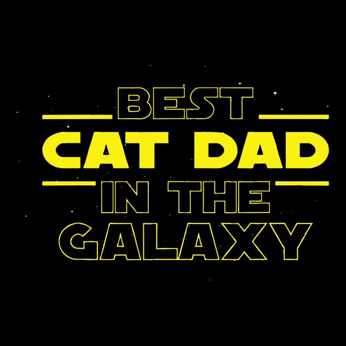 Cat Lover Gifts Best Cat Dad In The Galaxy Best Cat Dad Ever Bucket Hat