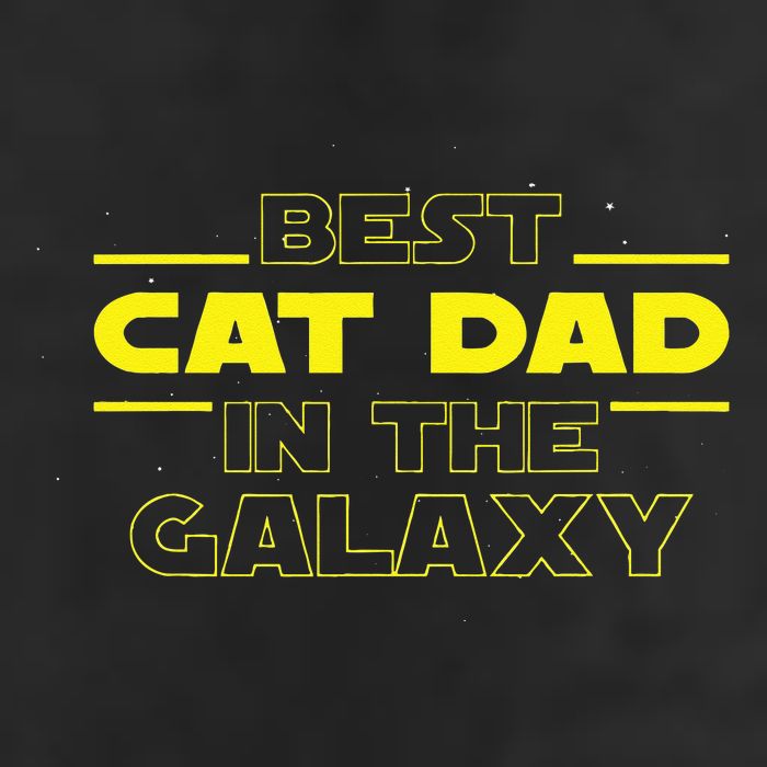 Cat Lover Gifts Best Cat Dad In The Galaxy Best Cat Dad Ever Beanie