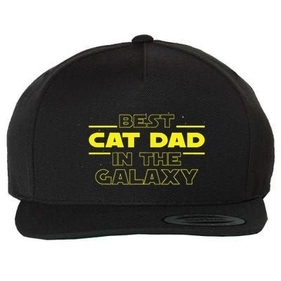 Cat Lover Gifts Best Cat Dad In The Galaxy Best Cat Dad Ever Wool Snapback Cap