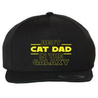 Cat Lover Gifts Best Cat Dad In The Galaxy Best Cat Dad Ever Wool Snapback Cap
