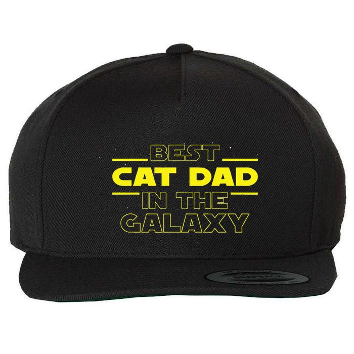 Cat Lover Gifts Best Cat Dad In The Galaxy Best Cat Dad Ever Wool Snapback Cap