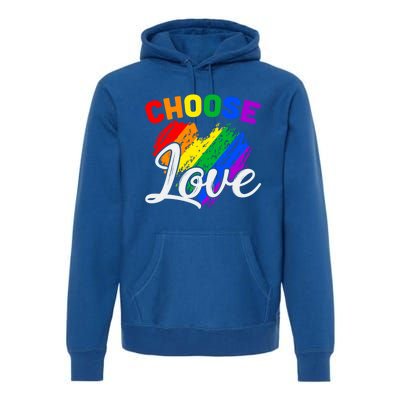 Choose Love Gift Premium Hoodie