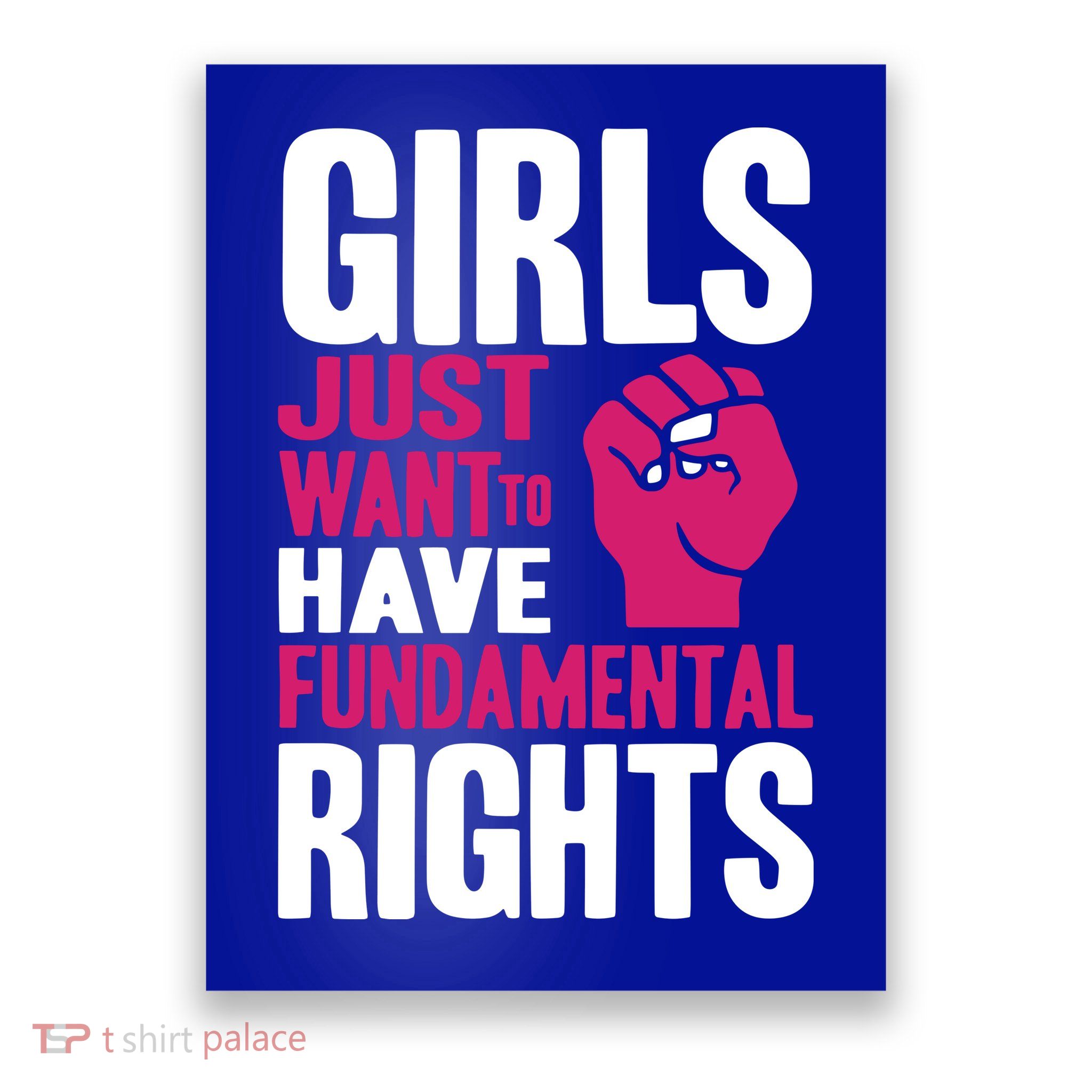 Cyndi Lauper Girl Just Want To Have Fundamental Rights Poster