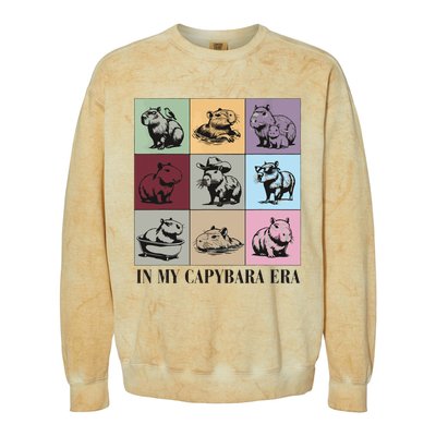 Capybara Lover Gift Colorblast Crewneck Sweatshirt