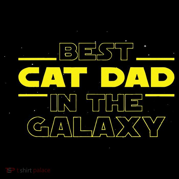 Cat Lover Gifts Best Cat Dad In The Galaxy Best Cat Dad Ever Tall T-Shirt