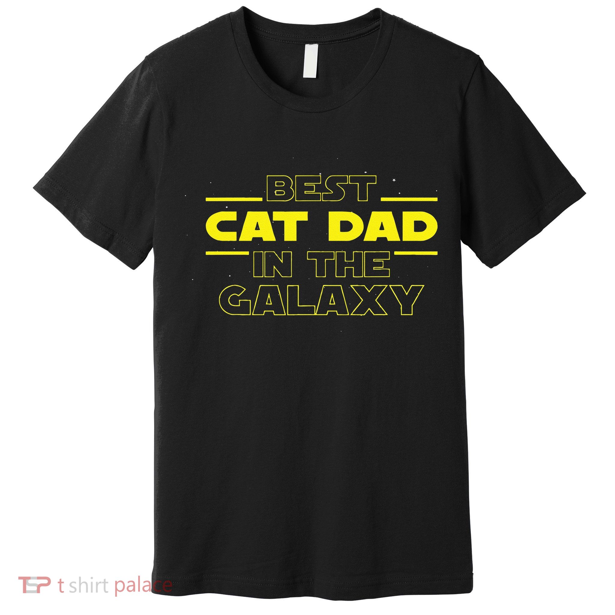 Cat Lover Gifts Best Cat Dad In The Galaxy Best Cat Dad Ever Premium T-Shirt