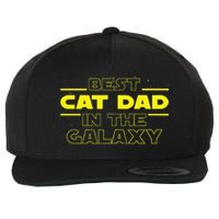Cat Lover Gifts Best Cat Dad In The Galaxy Best Cat Dad Ever Wool Snapback Cap