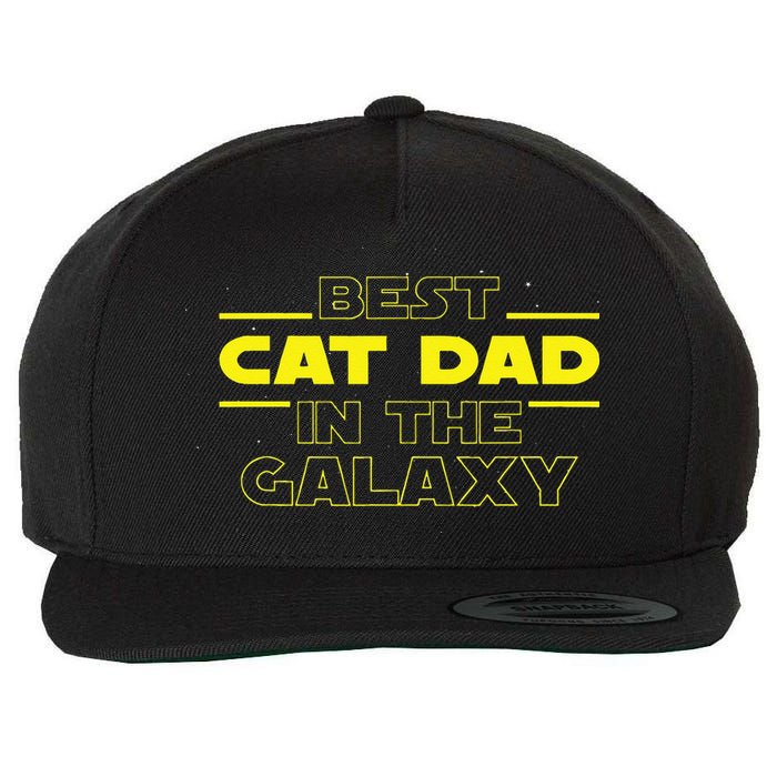Cat Lover Gifts Best Cat Dad In The Galaxy Best Cat Dad Ever Wool Snapback Cap