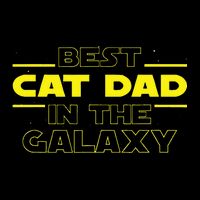 Cat Lover Gifts Best Cat Dad In The Galaxy Best Cat Dad Ever Wool Snapback Cap