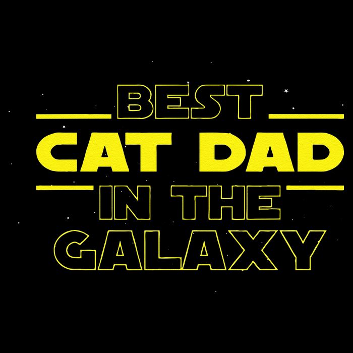 Cat Lover Gifts Best Cat Dad In The Galaxy Best Cat Dad Ever Wool Snapback Cap