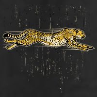 Cheetah Lover Gift Cool Cheetah Gift 7 Panel Mesh Trucker Snapback Hat