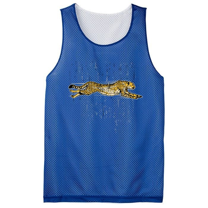 Cheetah Lover Gift Cool Cheetah Gift Mesh Reversible Basketball Jersey Tank