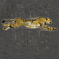 Cheetah Lover Gift Cool Cheetah Gift Vector Backpack