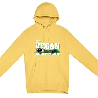 Cat Lover Go Vegan Right Meow Gift Premium Pullover Hoodie