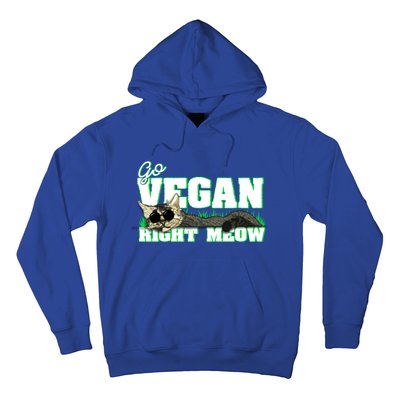 Cat Lover Go Vegan Right Meow Gift Hoodie