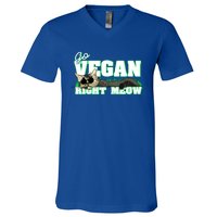 Cat Lover Go Vegan Right Meow Gift V-Neck T-Shirt