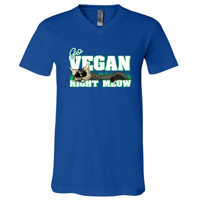 Cat Lover Go Vegan Right Meow Gift V-Neck T-Shirt