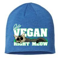 Cat Lover Go Vegan Right Meow Gift Sustainable Beanie