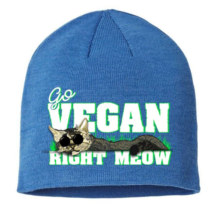 Cat Lover Go Vegan Right Meow Gift Sustainable Beanie