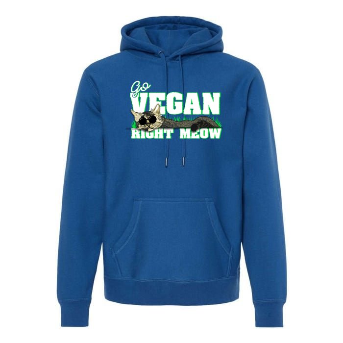 Cat Lover Go Vegan Right Meow Gift Premium Hoodie