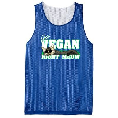 Cat Lover Go Vegan Right Meow Gift Mesh Reversible Basketball Jersey Tank