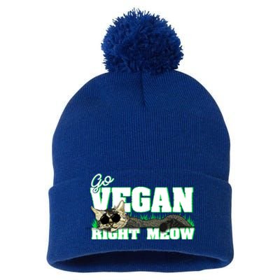 Cat Lover Go Vegan Right Meow Gift Pom Pom 12in Knit Beanie