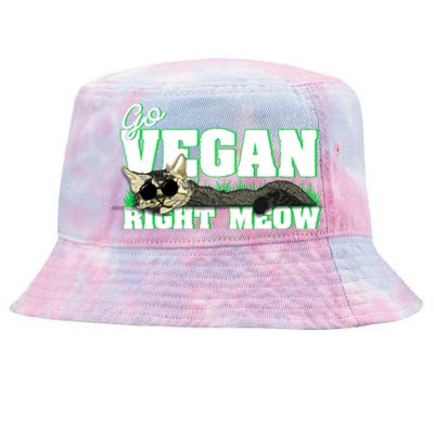 Cat Lover Go Vegan Right Meow Gift Tie-Dyed Bucket Hat