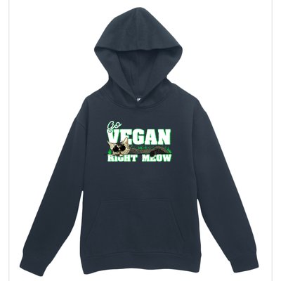 Cat Lover Go Vegan Right Meow Gift Urban Pullover Hoodie