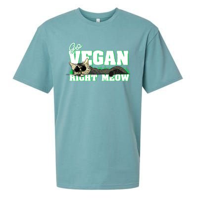 Cat Lover Go Vegan Right Meow Gift Sueded Cloud Jersey T-Shirt