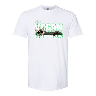 Cat Lover Go Vegan Right Meow Gift Softstyle CVC T-Shirt