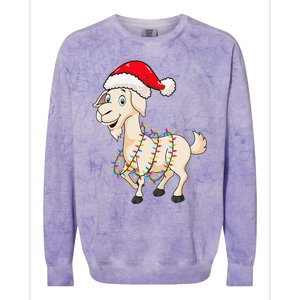 Christmas Lights Goat Wearing Xmas Hat Farmer Goat Lover Colorblast Crewneck Sweatshirt