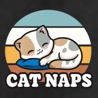 Cat Lovers Gift Nap Lover Sleepy Cute Kawaii Cat Naps 11oz C Handle Ceramic Mug