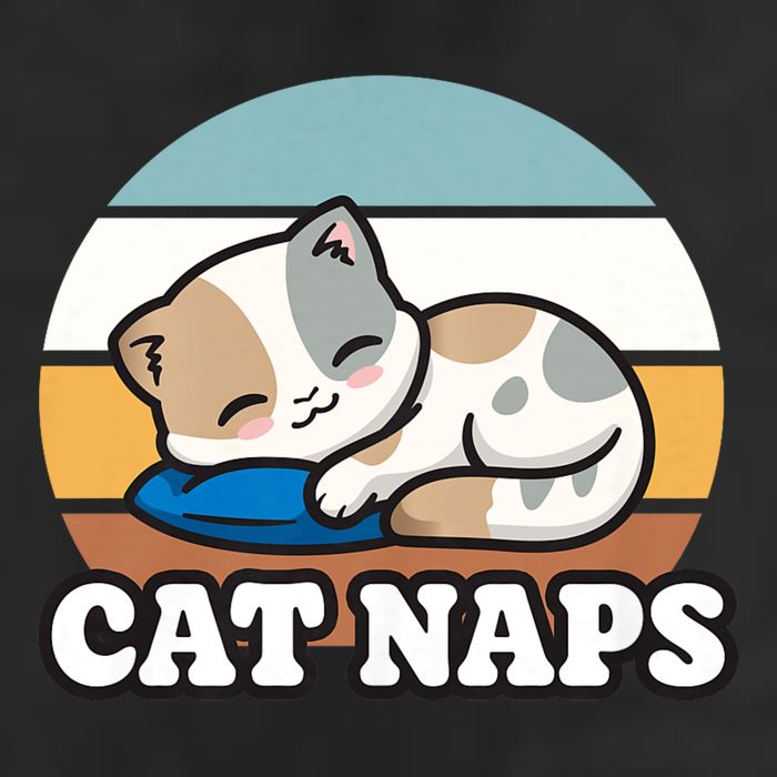 Cat Lovers Gift Nap Lover Sleepy Cute Kawaii Cat Naps 11oz C Handle Ceramic Mug