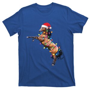 Christmas Lights Horse Santa Funny Xmas Tree Horse Gift T-Shirt