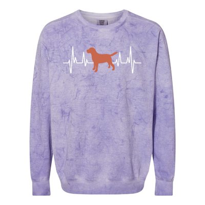 Chocolate Lab Heartbeat Valentine's Dog Labrador Retriever Cool Gift Colorblast Crewneck Sweatshirt