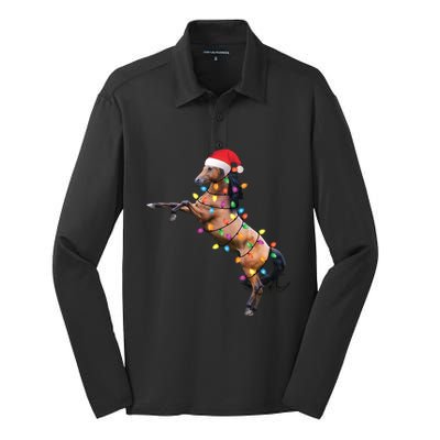 Christmas Lights Horse Santa Funny Xmas Tree Horse Funny Gift Silk Touch Performance Long Sleeve Polo