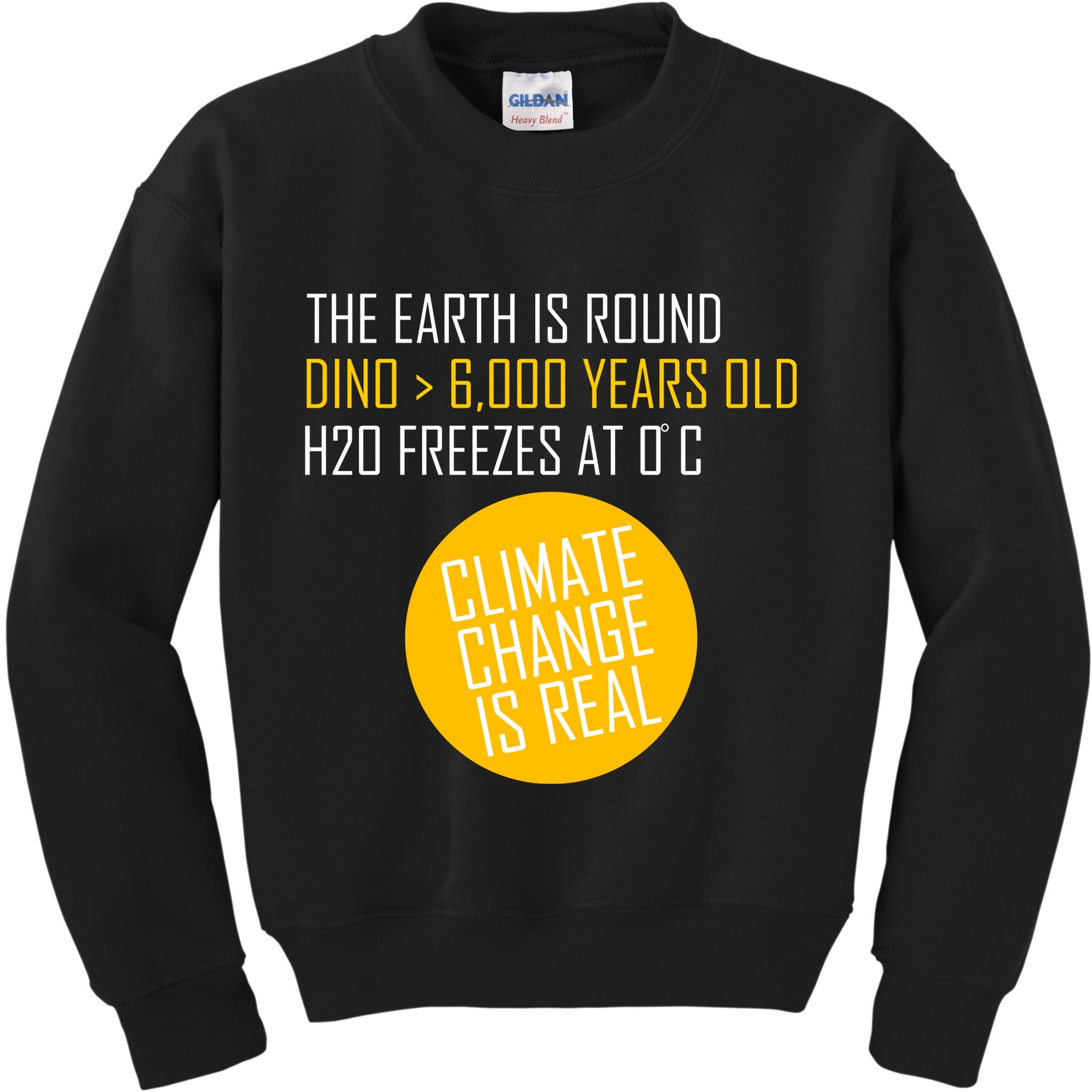 Climate Change is Real Science Facts Kids Sweatshirt