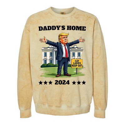 Cat Ladies Keep Out DaddyS Home Funny Trump President Humor Colorblast Crewneck Sweatshirt